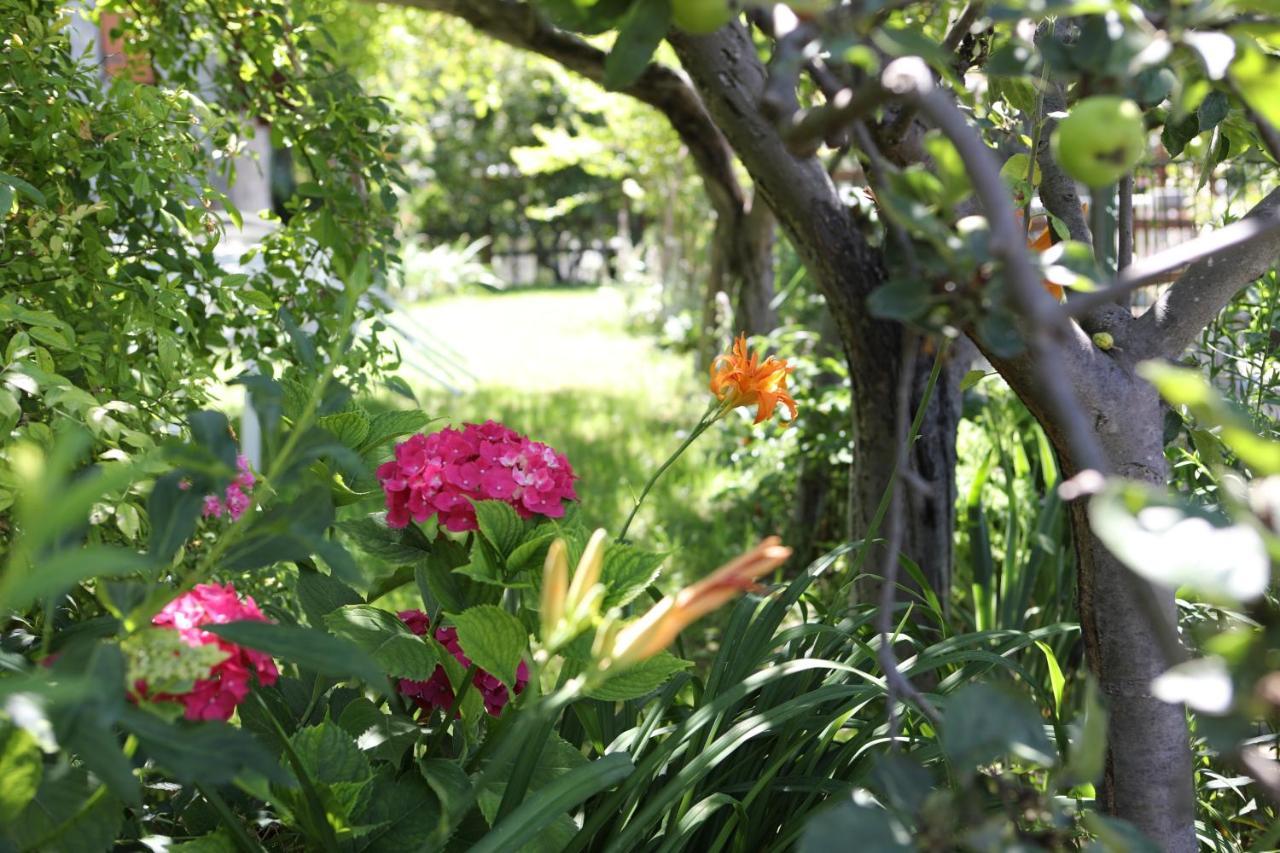 Le Rosier B&B E Appartamento Saint-Vincent Bagian luar foto